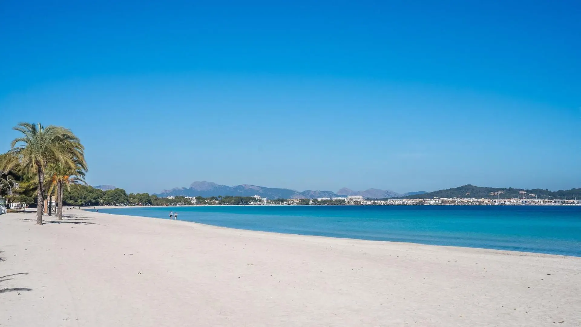 Ideal Property Mallorca - Maritimo Alcúdia Spagna